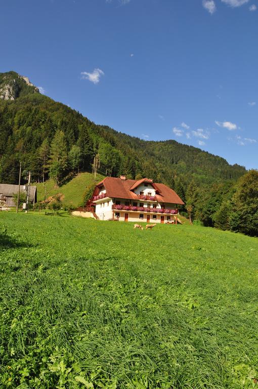 Na Logu - Farm Stay Ambroz Gregorc Solčava Exterior foto
